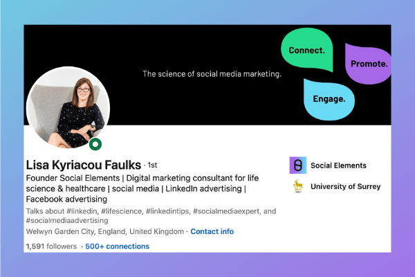 Example of LinkedIn Profile