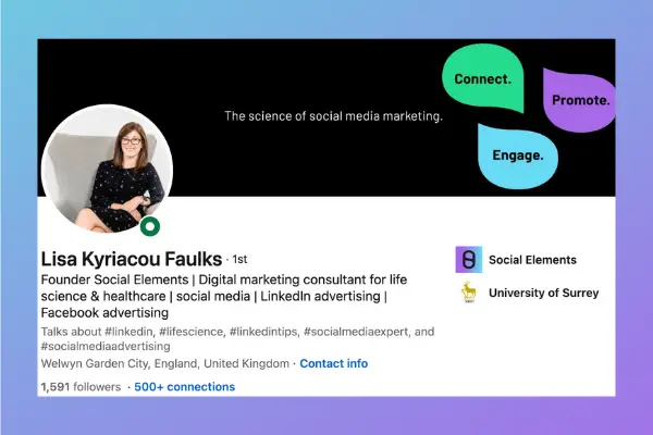 Example of LinkedIn Profile