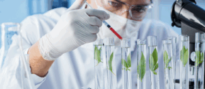 Holistic digital marketing blueprint